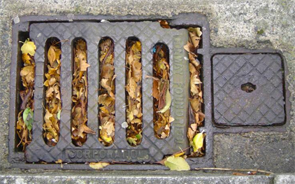 Blocked Drains Service at Port Plumbing